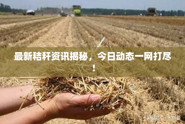 最新秸秆资讯揭秘，今日动态一网打尽！