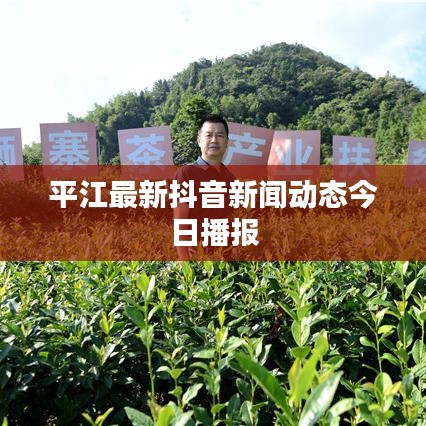 平江最新抖音新闻动态今日播报