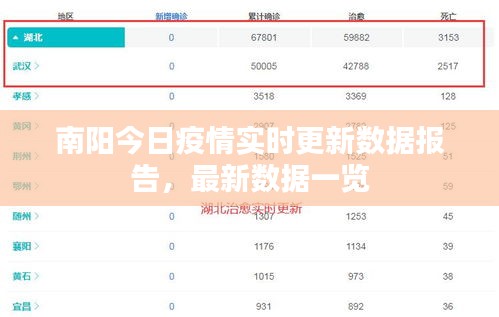 南阳今日疫情实时更新数据报告，最新数据一览