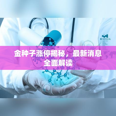 金种子涨停揭秘，最新消息全面解读