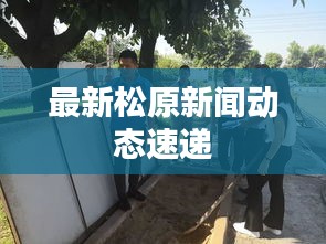 最新松原新闻动态速递