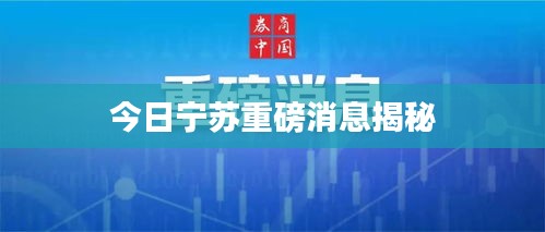 今日宁苏重磅消息揭秘