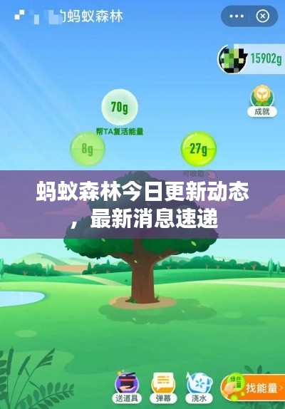 蚂蚁森林今日更新动态，最新消息速递