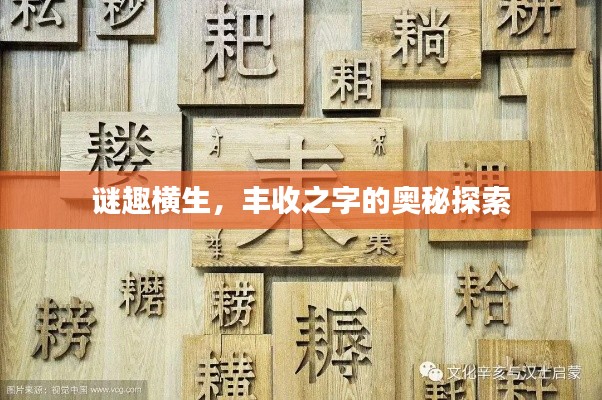 谜趣横生，丰收之字的奥秘探索
