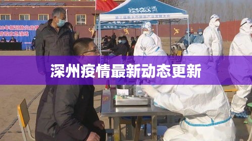 深州疫情最新动态更新