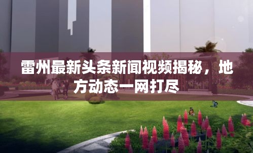 雷州最新头条新闻视频揭秘，地方动态一网打尽