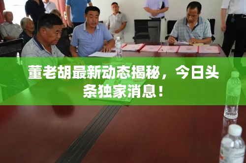 董老胡最新动态揭秘，今日头条独家消息！