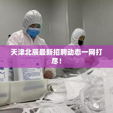 天津北辰最新招聘动态一网打尽！