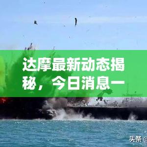 达摩最新动态揭秘，今日消息一网打尽！