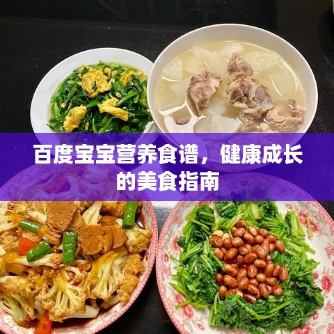 百度宝宝营养食谱，健康成长的美食指南