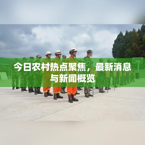 今日农村热点聚焦，最新消息与新闻概览