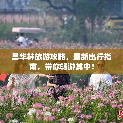 昙华林旅游攻略，最新出行指南，带你畅游其中！