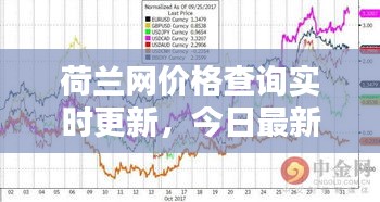 荷兰网价格查询实时更新，今日最新行情一网打尽