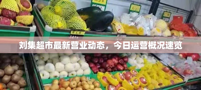 刘集超市最新营业动态，今日运营概况速览