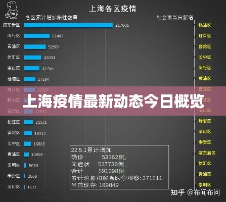 上海疫情最新动态今日概览