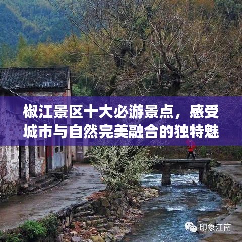 椒江景区十大必游景点，感受城市与自然完美融合的独特魅力