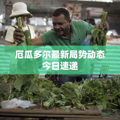 厄瓜多尔最新局势动态今日速递