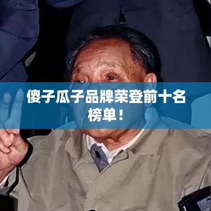 傻子瓜子品牌荣登前十名榜单！