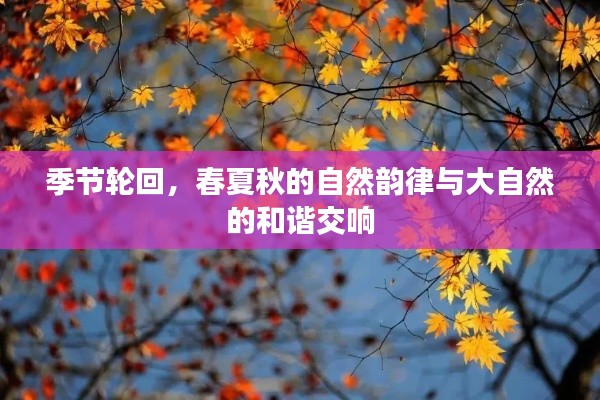 季节轮回，春夏秋的自然韵律与大自然的和谐交响