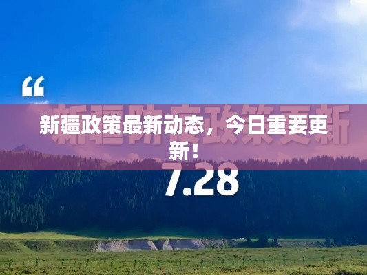 新疆政策最新动态，今日重要更新！