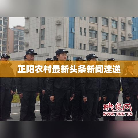 正阳农村最新头条新闻速递