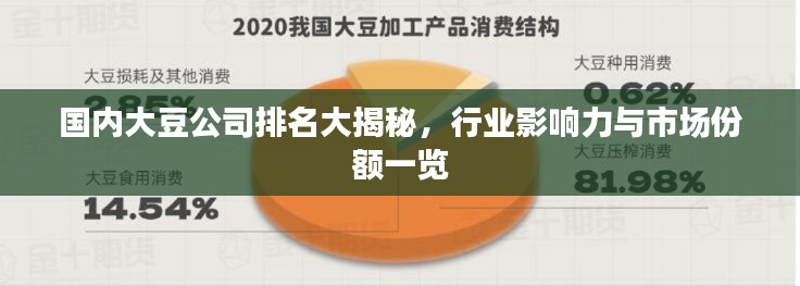 国内大豆公司排名大揭秘，行业影响力与市场份额一览
