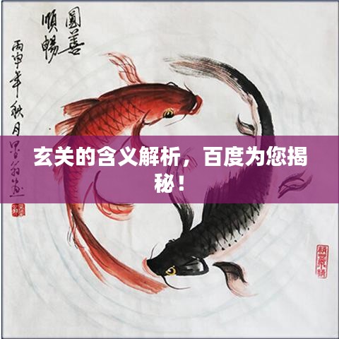 玄关的含义解析，百度为您揭秘！