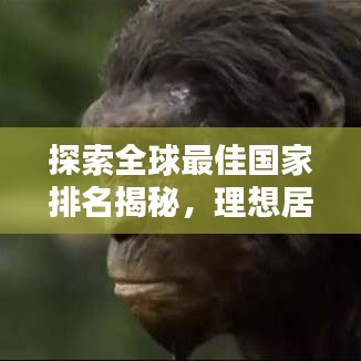 探索全球最佳国家排名揭秘，理想居住地的奥秘指南
