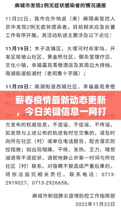 蕲春疫情最新动态更新，今日关键信息一网打尽