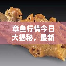 章鱼行情今日大揭秘，最新消息视频全解析