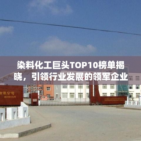 染料化工巨头TOP10榜单揭晓，引领行业发展的领军企业