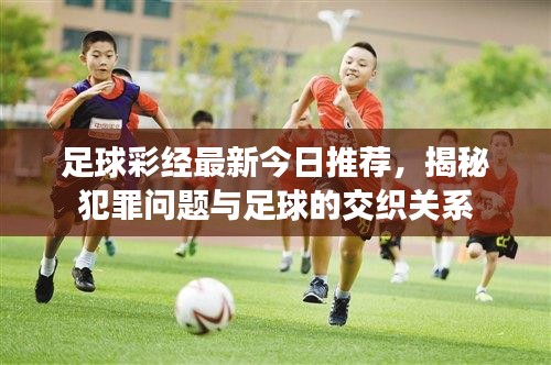 足球彩经最新今日推荐，揭秘犯罪问题与足球的交织关系