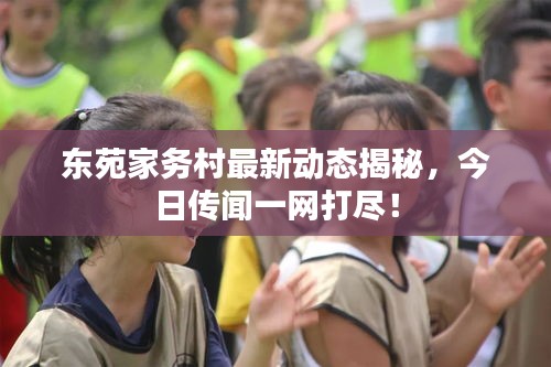 东苑家务村最新动态揭秘，今日传闻一网打尽！