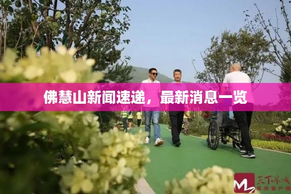 佛慧山新闻速递，最新消息一览