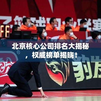 北京核心公司排名大揭秘，权威榜单揭晓！