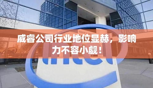 威睿公司行业地位显赫，影响力不容小觑！