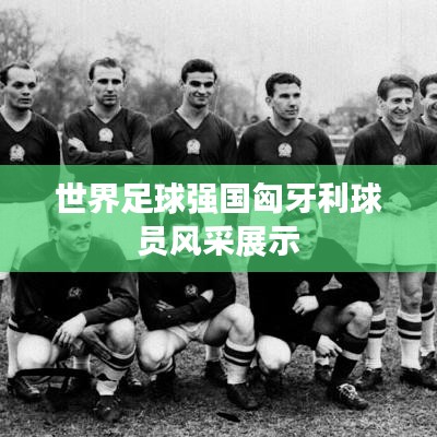 世界足球强国匈牙利球员风采展示