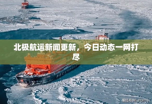 北极航运新闻更新，今日动态一网打尽