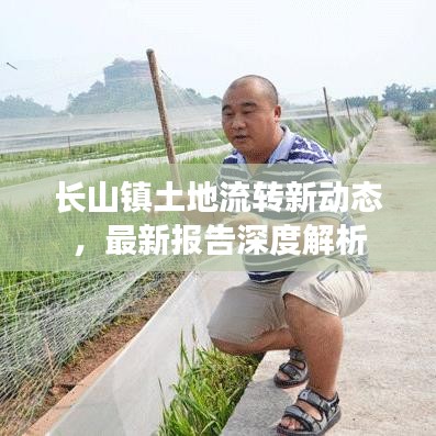 自作主张 第2页