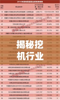 揭秘挖机行业精英收入前十榜单，工程机械行业高收入人才概览