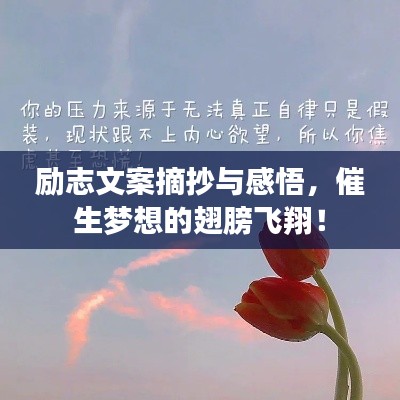 励志文案摘抄与感悟，催生梦想的翅膀飞翔！