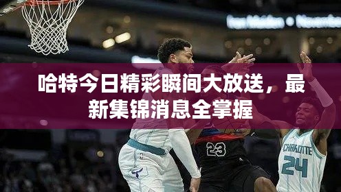 哈特今日精彩瞬间大放送，最新集锦消息全掌握