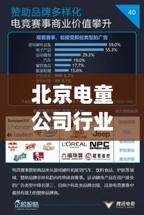 北京电童公司行业地位及影响力解析，深度解读排名背后的实力与成就
