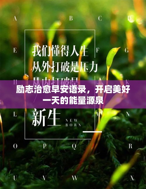 励志治愈早安语录，开启美好一天的能量源泉
