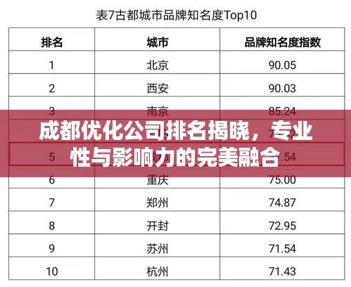 成都优化公司排名揭晓，专业性与影响力的完美融合
