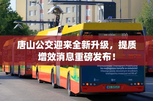 唐山公交迎来全新升级，提质增效消息重磅发布！
