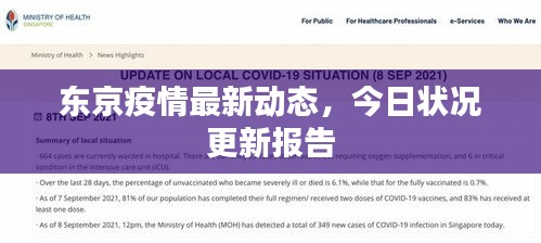 东京疫情最新动态，今日状况更新报告