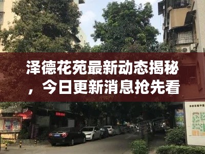 泽德花苑最新动态揭秘，今日更新消息抢先看！