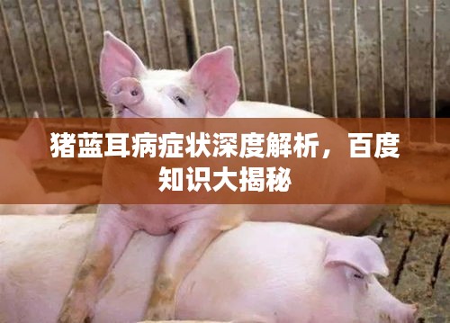 猪蓝耳病症状深度解析，百度知识大揭秘