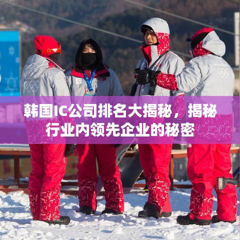 韩国IC公司排名大揭秘，揭秘行业内领先企业的秘密